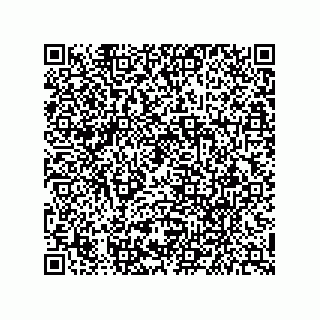 vCard 79627300085