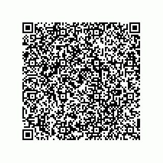 vCard 79627300217