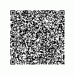 vCard 79627300331