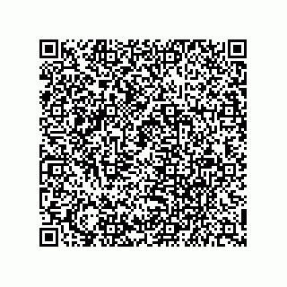 vCard 79627302411
