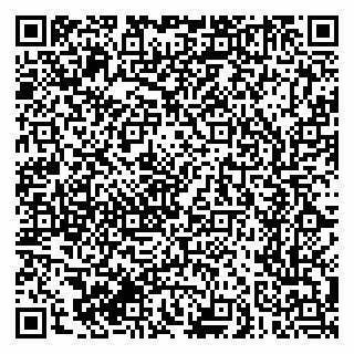 vCard 79627700131