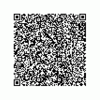vCard 79627710331