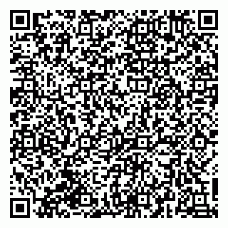 vCard 79628002001