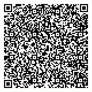 vCard 79630110381