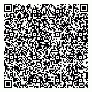 vCard 79631150013