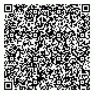 vCard 79631150378