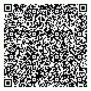 vCard 79631150399
