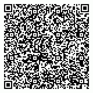 vCard 79631299603