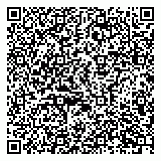 vCard 79631299604