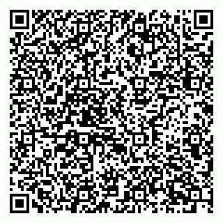 vCard 79631299705