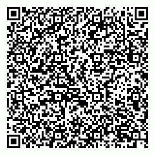 vCard 79631299803