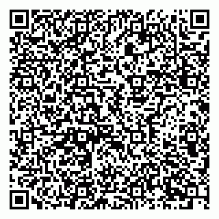 vCard 79631299804