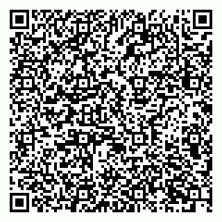vCard 79631299809