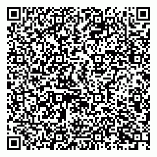 vCard 79631299839