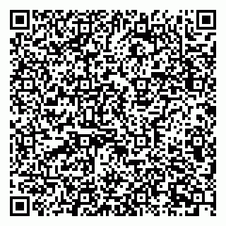 vCard 79631299875