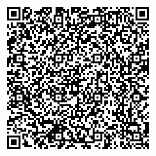 vCard 79631299887