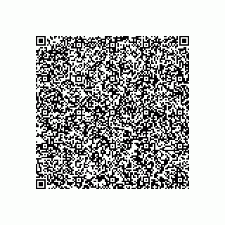 vCard 79631329801