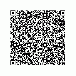 vCard 79632000133