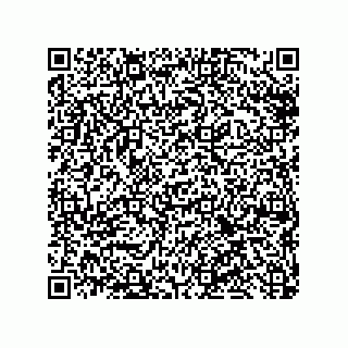 vCard 79632000137