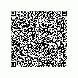 vCard 79632000233