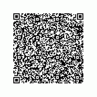 vCard 79632000299