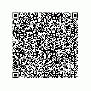 vCard 79632000321