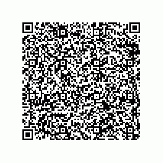 vCard 79632000333