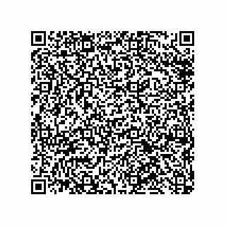 vCard 79632000383