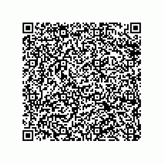 vCard 79632000387