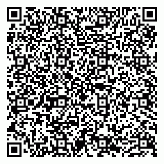 vCard 79632109739