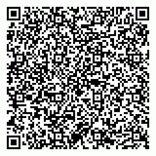 vCard 79632110739