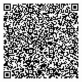vCard 79632113339