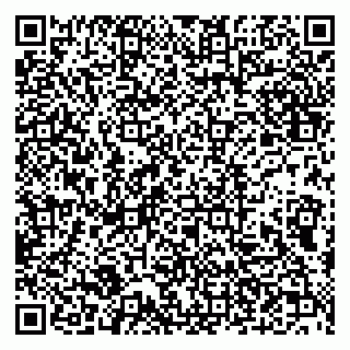 vCard 79632113411