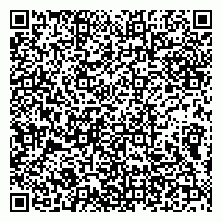 vCard 79632113491