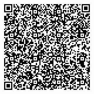 vCard 79632130173