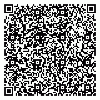vCard 79632130939