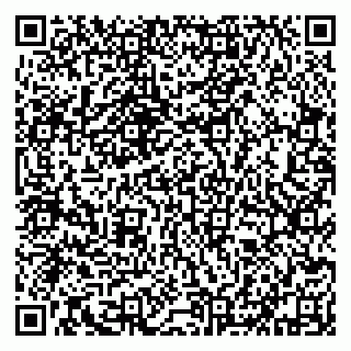vCard 79632131339
