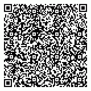 vCard 79632131539