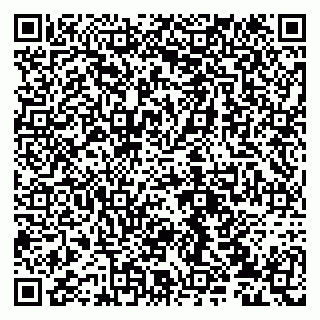 vCard 79632131800