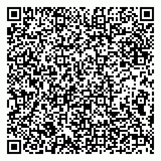 vCard 79632132538
