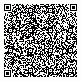 vCard 79632132539