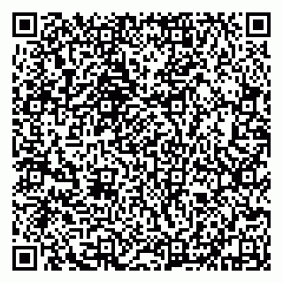 vCard 79632132739