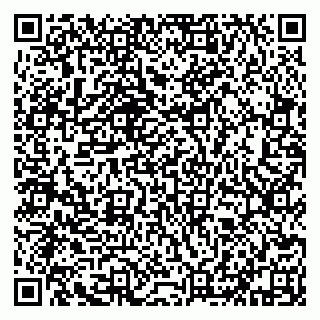 vCard 79632133339