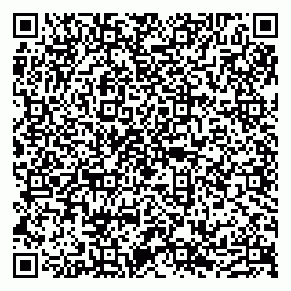 vCard 79632137539