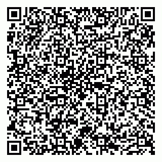 vCard 79632138839