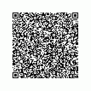 vCard 79633002010