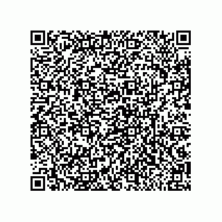 vCard 79633002011