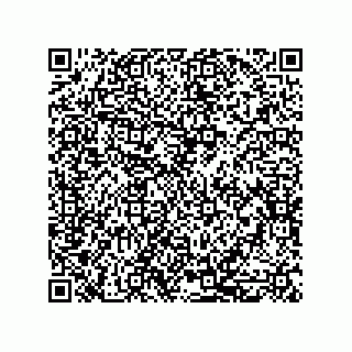 vCard 79633002142