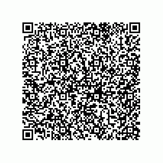 vCard 79633020173