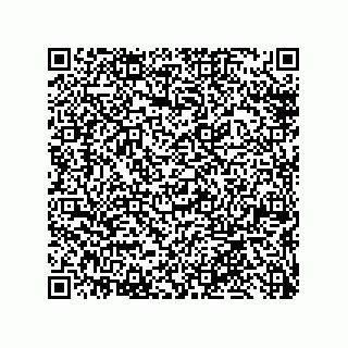 vCard 79633020174